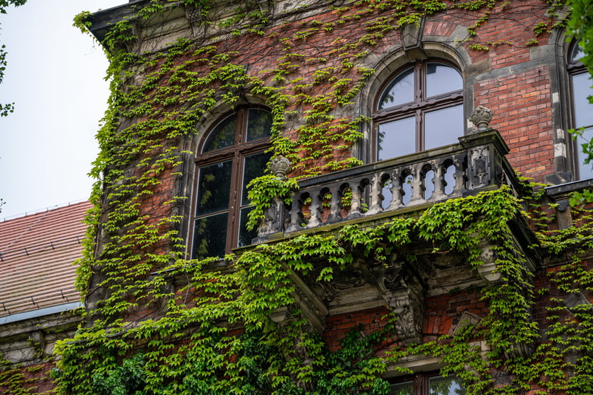 Muzeum Narodowe we Wrocławiu